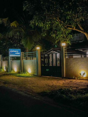 Leisure Villa